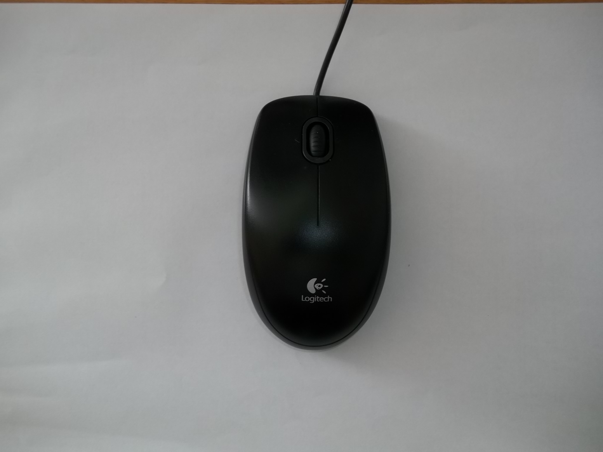Mouse1.jpg