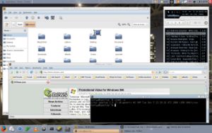 Screenshot linux3.jpg
